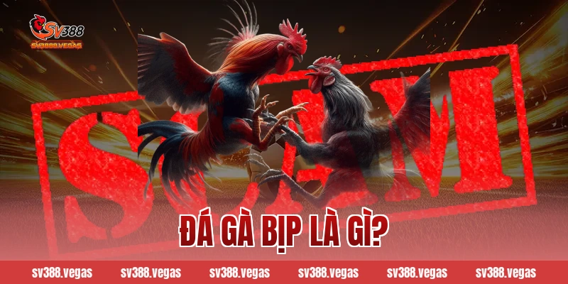 Đá gà bịp là gì?