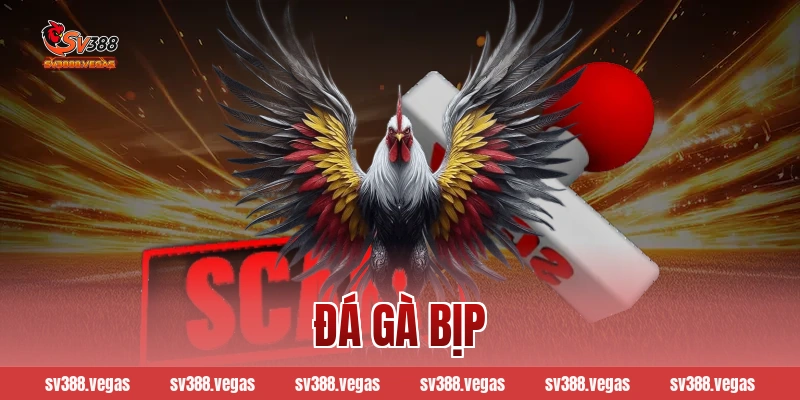 đá gà bịp