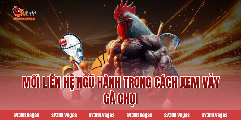 Mối liên hệ ngũ hành trong cách xem vảy gà chọi